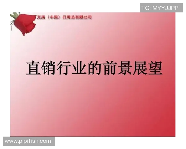 深圳排球队运营策略深度解析与发展前景展望 深圳排球队运营策略深度解析与发展前景展望