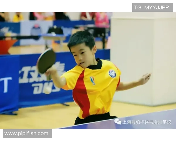 乒乓球的魅力与精神：深入了解上海乒乓球队的训练与文化