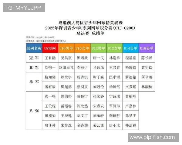 深圳网球队在全国网球团队协作排行榜中荣获第九名的佳绩分析