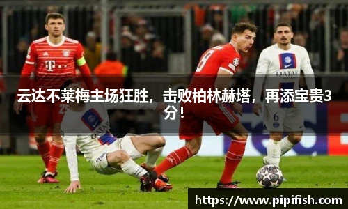 博鱼.boyu体育