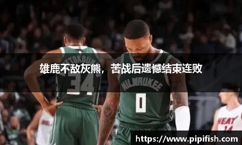 博鱼官网